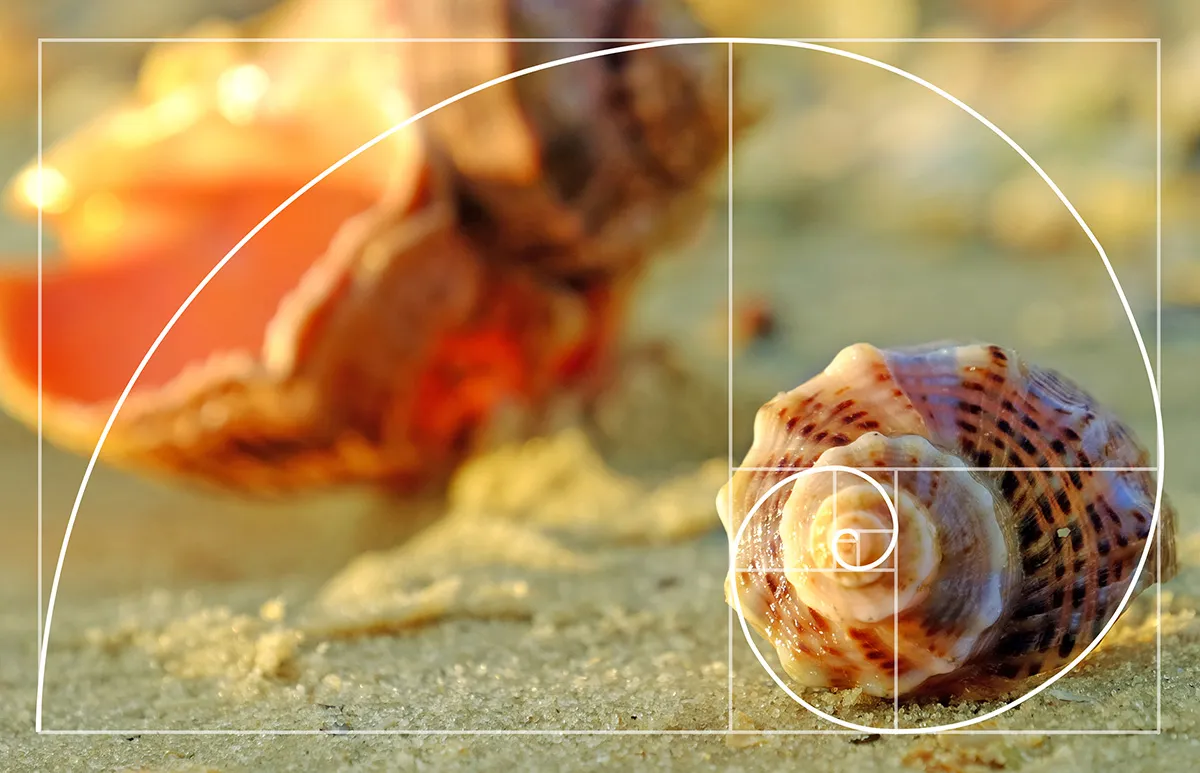 golden-ratio-plattegrond